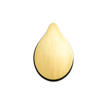 芝麻灵码